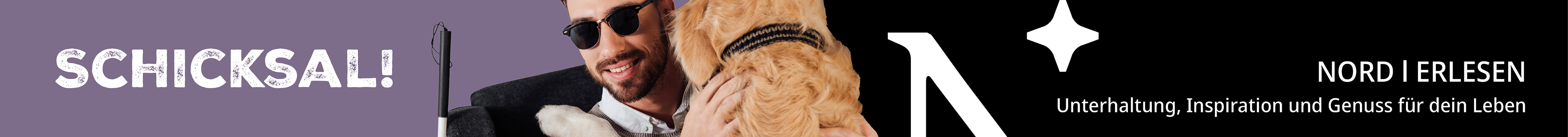 Werbebanner von Norderlesen