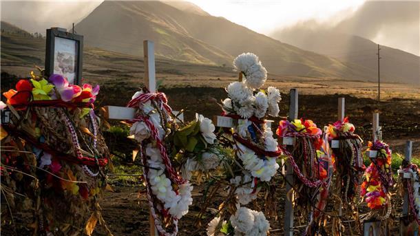 Inferno im Paradies: Jahrestag der tödlichen Brände auf Maui 102 Menschen wurden Opfer der Brände auf Maui. (Archivbild)