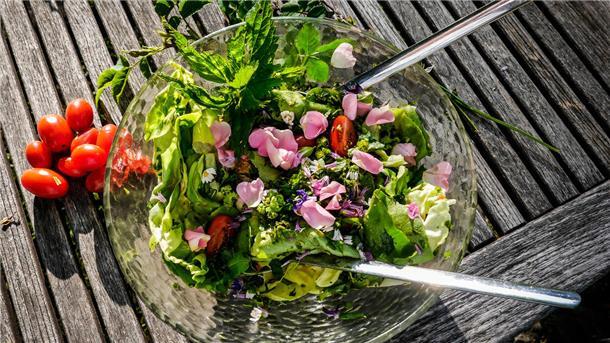  „Genussvoll und gesund Klima und Artenvielfalt schützen“: Im ersten Vortrag der neuen Reihe geht es um essbare Wildpflanzen.