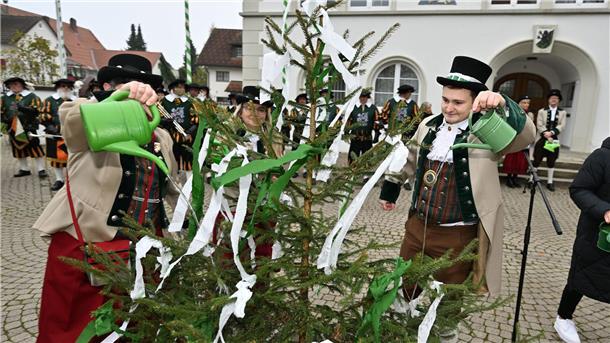 „Energie für Krisen“ - Die fünfte Jahreszeit beginnt Im oberschwäbischen Kißlegg stand das Gießen des kleinen Narrenbaums an.