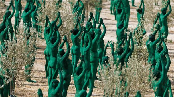 Bilder des Tages Kunstinstallation im Olivenhain
