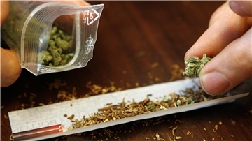 155 Gramm Marihuana hat die Polizei in der Wohnung eines Nordenhamer Drogendealers beschlagnahmt sowie weitere Drogen.