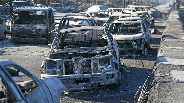 Inferno im Paradies: Jahrestag der tödlichen Brände auf Maui 3.000 ausgebrannte Autos musste nach den Bränden entsorgt werden. (Archivbild)