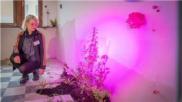 33 Künstler*innen haben am Wochenende beim Kunstraum "ArtSpace" in der Alten Bürger ihre Kunst der Öffentlichkeit präsentiert. Mit dabei war auch Jana Thiel, deren Installation sich mit "Unkraut" beschäftigte.