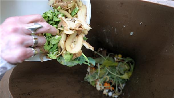 Ab 2021 ist die Biotonne im Cuxland verpflichtend. Bei Eigenkompostierung kann auf die neue Tonne verzichtet werden.