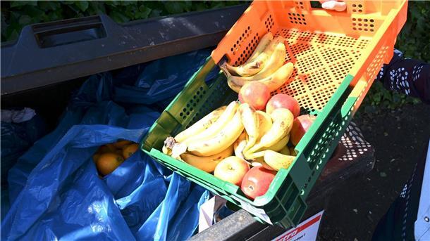 Haushalte verschwenden jeden Tag eine Milliarde Mahlzeiten Ab in die Tonne: Dem UN-Bericht zufolge verschwendete jede Person im Jahr 2022 im Schnitt 79 Kilogramm Lebensmittel.