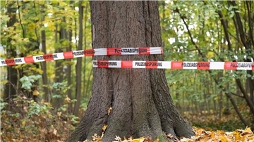 Absperrband der Polizei: Rund 180 Beamte der Bereitschaftspolizei durchkämmten den Wald.