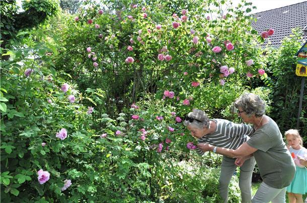 Aktion "Offene Gartenpforte": Auch Gartenbesitzer aus Nordenham können wieder mitmachen.