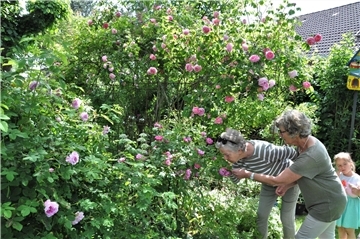 Aktion "Offene Gartenpforte": Auch Gartenbesitzer aus Nordenham können wieder mitmachen.