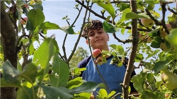 Aktuell sind Helfer der Tafel dabei, auf den Parzellen der Kleingärtner überschüssiges Obst zu ernten. Doch die Selbstversorgung soll zukünftig noch weiter gehen. Viel weiter. Die Details des Projektes haben die Tafel-Verantwortlichen am Freitag erläutert.