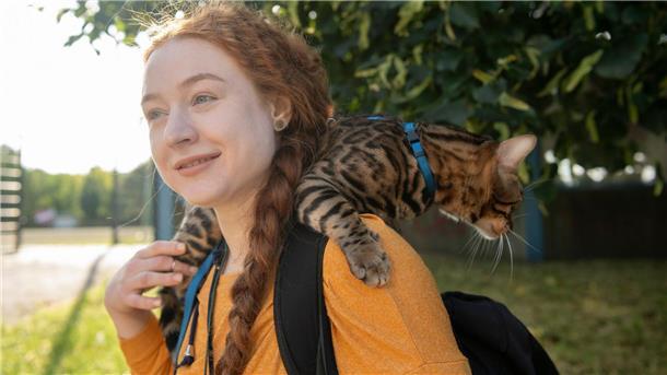 Katzen an der Leine - Harmlos oder Gefahr fürs Tierwohl? Aktuell werden immer mehr Katzen an der Leine durch Großstadtstraßen geführt. (Archivbild)