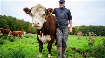 Alexander Schmidt, Rinderzüchter, steht auf einer Wiese neben dem Hereford-Rind mit dem Namen Simba.