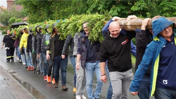 Mehrere Menschen tragen einen Pfingstbaum zum Ort des Setzens