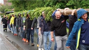 Mehrere Menschen tragen einen Pfingstbaum zum Ort des Setzens