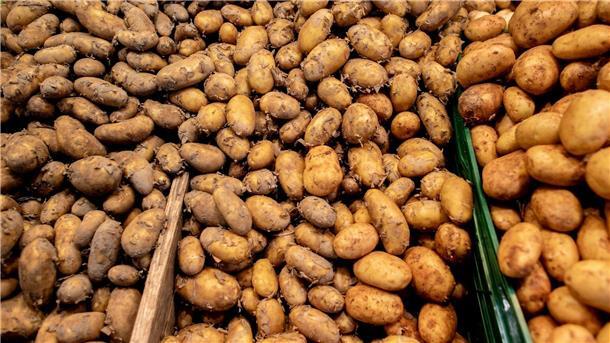 Kartoffeln knapp und teuer Allgemein ist das Angebot an Frühkartoffeln in diesem Jahr eher knapp.