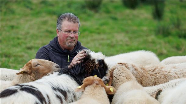 Diese schwulen Böcke lieben, wen sie wollen Als Teil der schwulen Herde dürfen die Schafe „leben und lieben, wen und wie sie wollen“ (Foto aktuell).