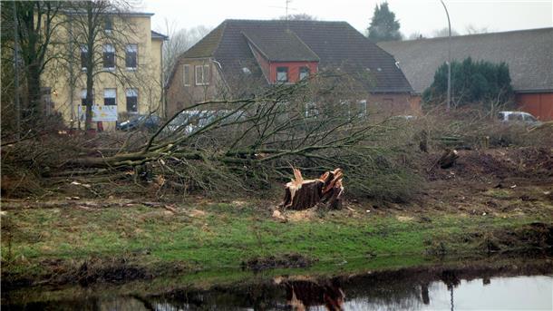 Als Vorbereitung für den Bau der neuen Oste-Brücke wurden zahlreiche Bäume südlich der bestehenden Brücke gefällt. 