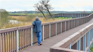 Eine Person steht am Geländer eineer hölzernen Brücke