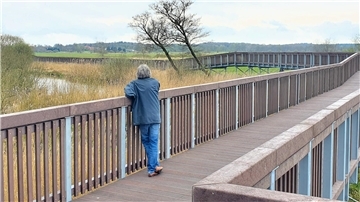 Eine Person steht am Geländer eineer hölzernen Brücke