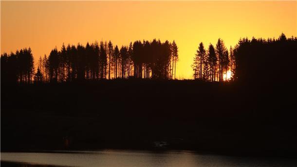 Faktencheck: Was es mit der Tagundnachtgleiche auf sich hat Am Abend des 20. März beginnt auf der Nordhalbkugel der Frühling.