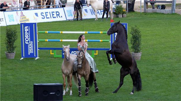 Kenzie Dysli und ihre Hengste bei den Elmloher Reitertagen.