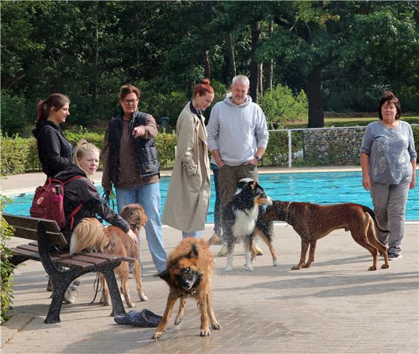 Hunde schütteln sich trocken