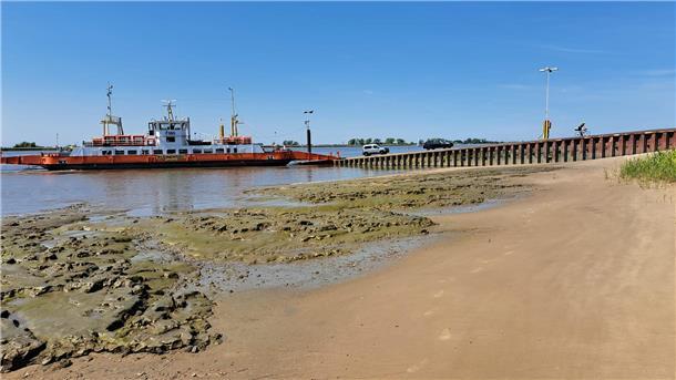 Am Fähranleger  soll ein Hundestrand eingerichtet werden. 