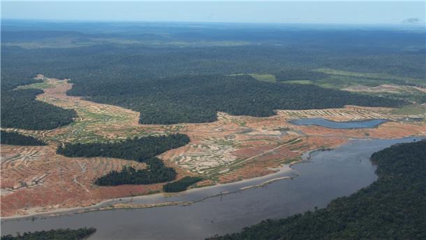Am Rande des Juruena-Nationalparks im Amazonas-Regenwald sind gerodete Flächen zu sehen.
