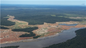 Am Rande des Juruena-Nationalparks im Amazonas-Regenwald sind gerodete Flächen zu sehen.