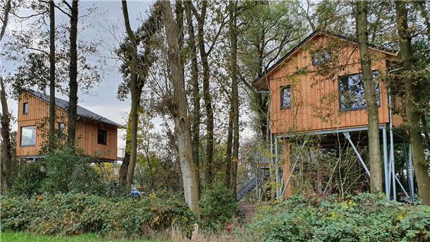 Holzhaus im Wald.