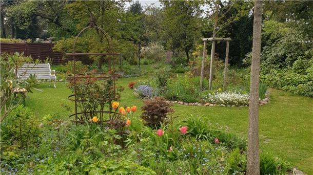 Hemslingen und Jeersdorf: Zwei Privatgärten öffnen - mit Obstwiese und Waldstück Am Sonntag, 2 Juli, öffnet der Garten Wilhelm in Jeersdorf in der Zeit von 12 bis 18 Uhr.