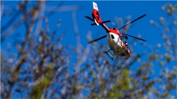 Ein Hubschrauber fliegt weg, davor sind Pflanzenteile zu sehen. 