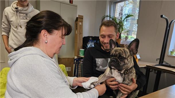 An der französischen Bulldogge „Buddy“ übt eine Kursteilnehmerin das Verbinden einer Pfote. 