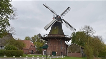 Moorseer Mühle