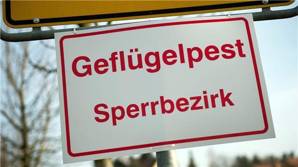 Geflügelpest-Ausbruch: 14.500 Tiere müssen sterben An einem Ortseingangsschild hängt ein Schild mit der Aufschrift „Geflügelpest Sperrbezirk“.