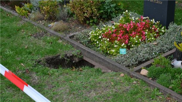 An etlichen Stellen im nördlichen Teil des Zevener Friedhofs tun sich knietiefe Löcher auf. Auch Grabstellen sind betroffen. Die Bereiche sind abgesperrt. 