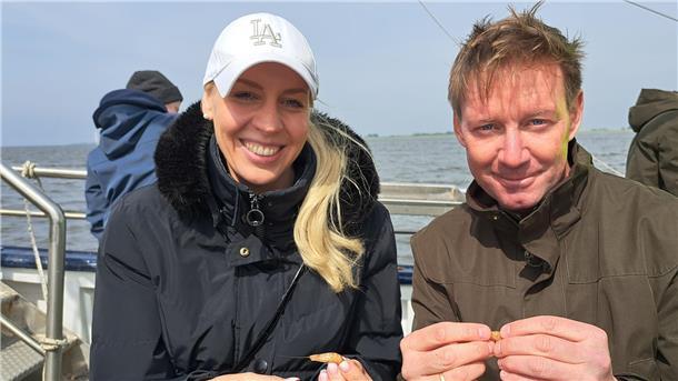 Andrea Heinrich aus Brandenburg und Lars Haße aus Schottwarden pulen gemeinsam Krabben bei einer dreistündigen Showfahrt.
