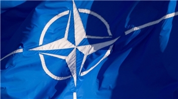 Angesichts des russischen Angriffskriegs gegen die Ukraine hatte Schweden im Mai 2022 gemeinsam mit Finnland die Nato-Mitgliedschaft beantragt. Finnland wurde Anfang April vergangenen Jahres als 31. Mitglied im Bündnis willkommen geheißen.
