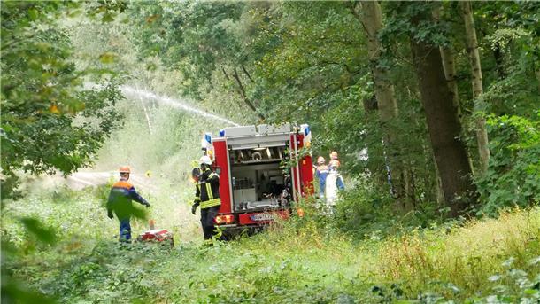 Anspruchsvoller Übungseinsatz im Wald.