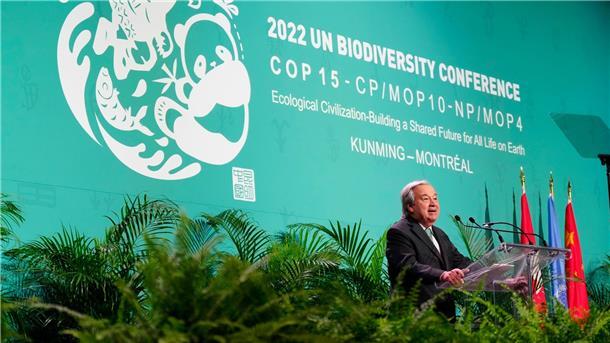 Antonio Guterres, Generalsekretär der Vereinten Nationen, hält eine Rede bei der Eröffnungszeremonie der 15. Tagung des Weltnaturgipfels.