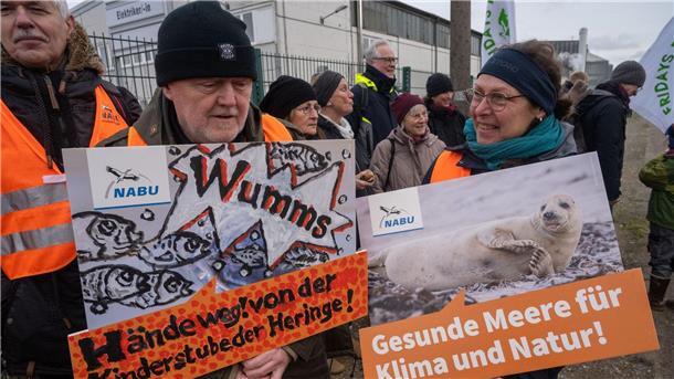 Anwohner und Umweltschützer demonstrieren, weil sie Lärmemissionen durch das Terminal erwarten. Zudem gab es Proteste von Anhängern der russischen Politik.