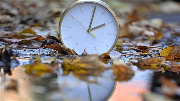 Bilder des Tages As time goes by