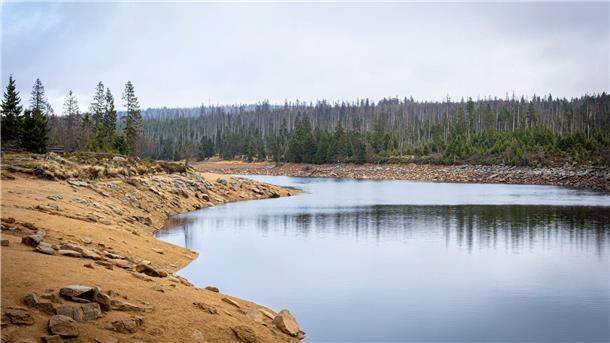 Stiftung will Mängel am Harzer Welterbe beseitigen Auch der historische Stausee Oderteich ist Teil der Oberharzer Wasserwirtschaft. (Archivbild)