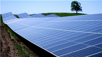 Nahansicht mehrerer Module eines Solarparks.