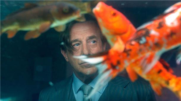 Tod im Aquarium: TV-Krimi „Allmen und das Geheimnis des Koi“ Auch Fische können Kostbarkeiten sein.