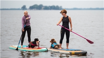 Auch für Stand Up Paddling mit Hund samt Frauchen oder Herrchen gibt es in Niedersachsen mittlerweile Angeboten.