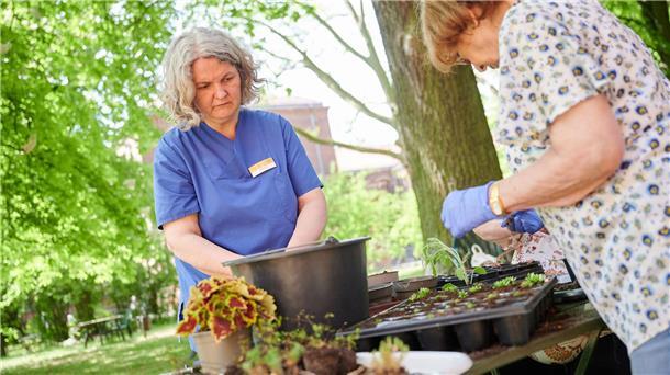 Neuer Bericht: Wie sich Demenz vorbeugen lässt Auch Gartentherapie kann bei Demenz helfen. (Symbolbild)