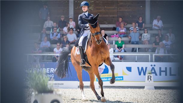 Auch in diesem Jahr gab es bei den Elmloher Reitertagen wieder Pferdesport der Spitzenklasse. Die Übermacht der großen Reiter nimmt immer mehr zu.
