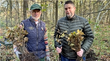 Auch Jürgen Keup (links) und Sven Strieben waren tatkräftig im Einsatz, um junge Bäume zu pflanzen.