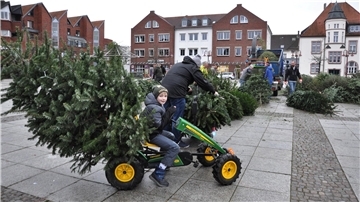 Auch mit dem Kettcar lässt sich ein Weihnachtsbaum transportieren.